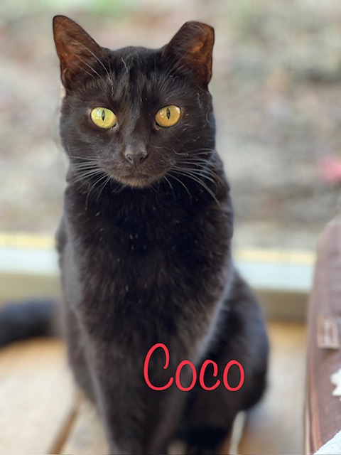 Coco